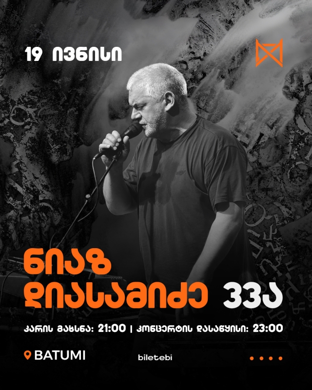 ნიაზ დიასამიძე 33ა